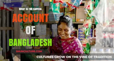 Understanding Bangladesh's Capital Account: Structure, Trends, and Economic Impact