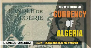 Algeria's Capital and Currency: A Quick Guide to Basics
