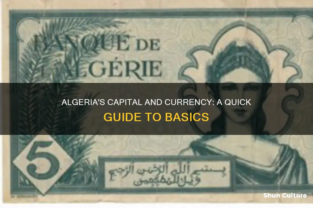 what is the capital and currency of algeria