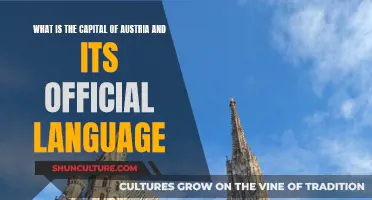 Vienna's Capital: Austria's Official Language Revealed