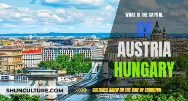 Unraveling the Capital Conundrum: Austria vs. Hungary