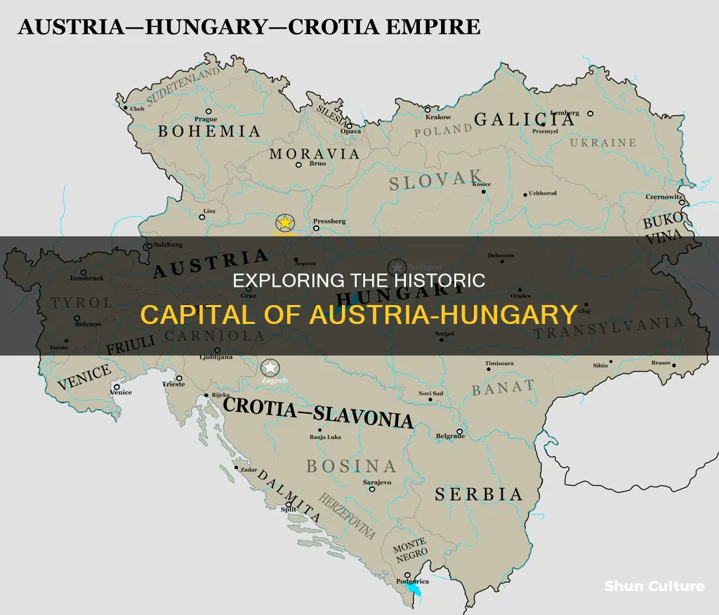 what is the capital of austria hungary
