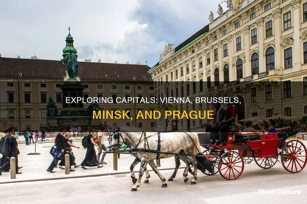what is the capital of austria vienna brussels minsk prague
