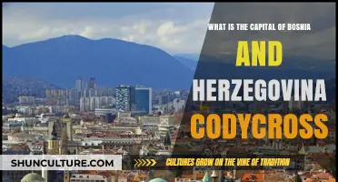 Discovering Bosnia and Herzegovina's Capital: A CodyCross Guide