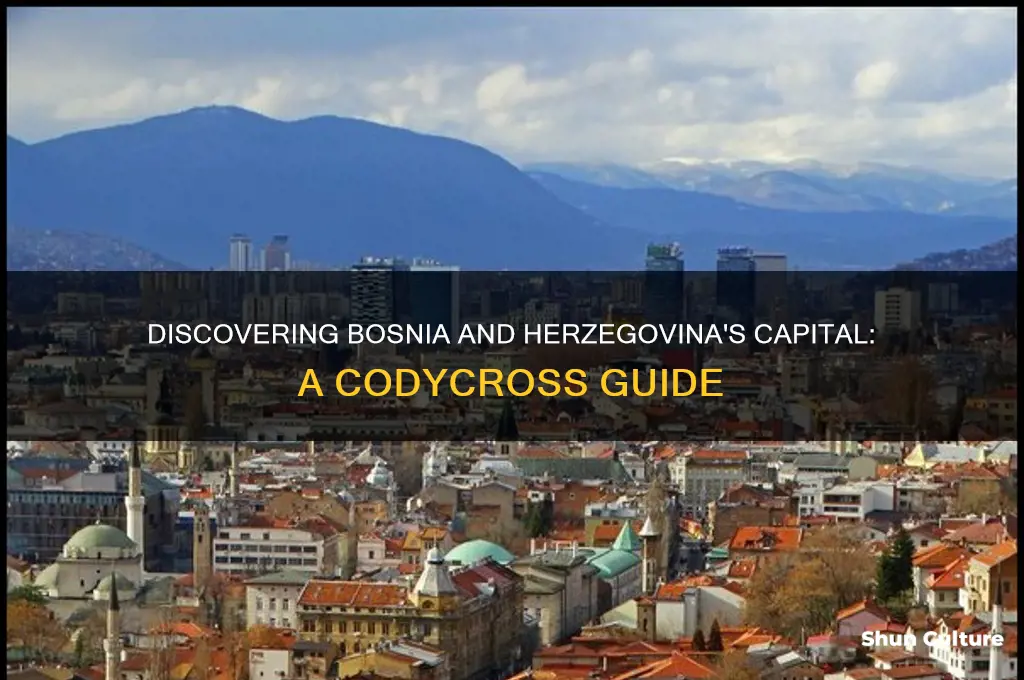 what is the capital of bosnia and herzegovina codycross