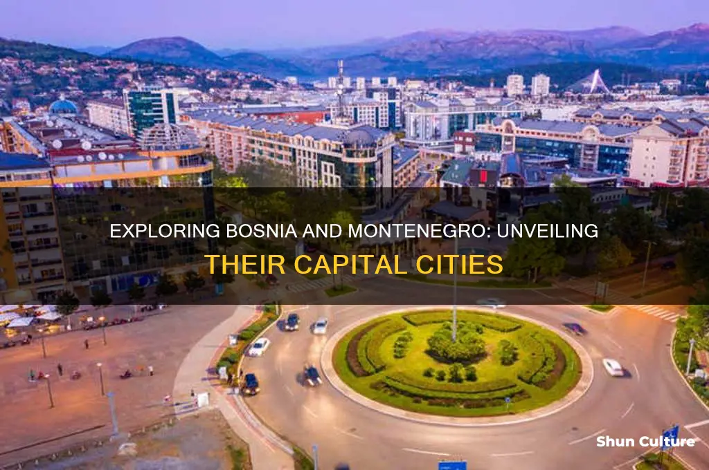 what is the capital of bosnia and monteneroe
