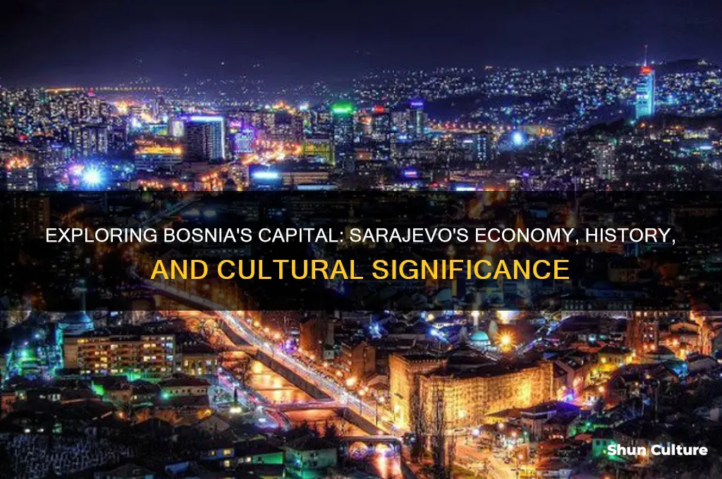 what is the capital of bosnia his econ neva
