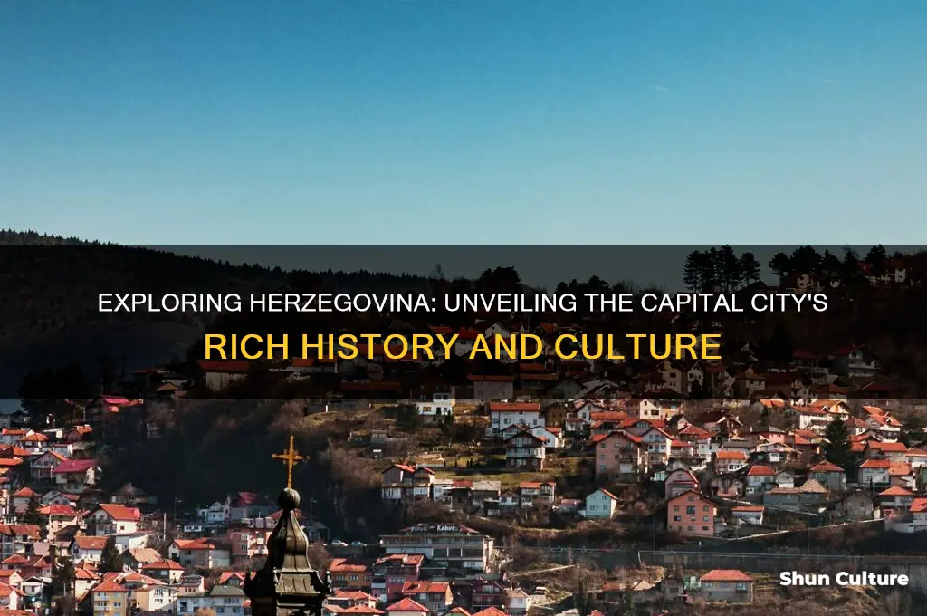 what is the capital of herzegovina