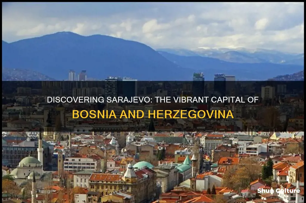what is the capital of robosnia herzegovina