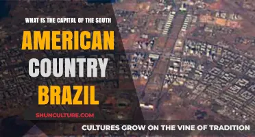 Discovering Brazil's Capital: A Guide to Brasília's History and Culture