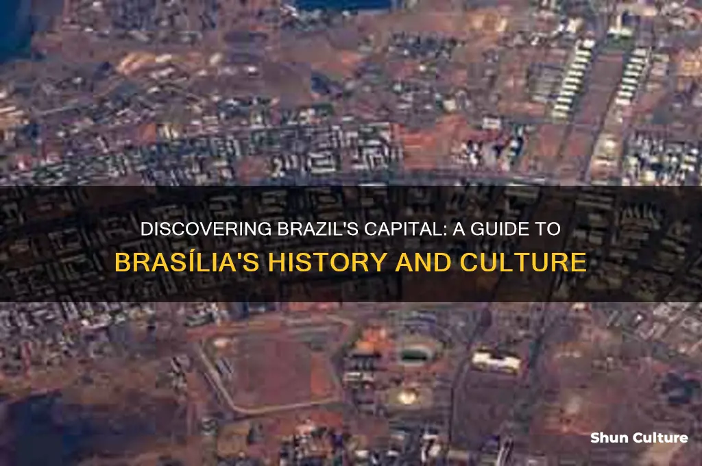 what is the capital of the south american country brazil