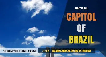 Discovering Brazil's Capitol: Unveiling the Heart of Brasília's Governance