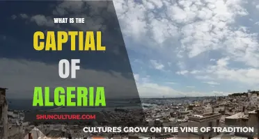 Discovering Algeria's Capital: A Guide to Algiers' Rich History