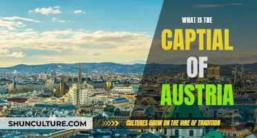 Unveiling Austria's Capital: A Journey to Vienna