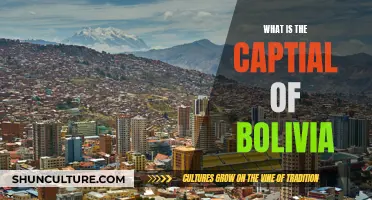 Exploring Bolivia: Unveiling the Country's Capital City