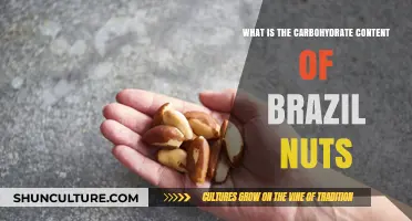Brazil Nuts Carbohydrate Content: A Nutritional Breakdown and Benefits