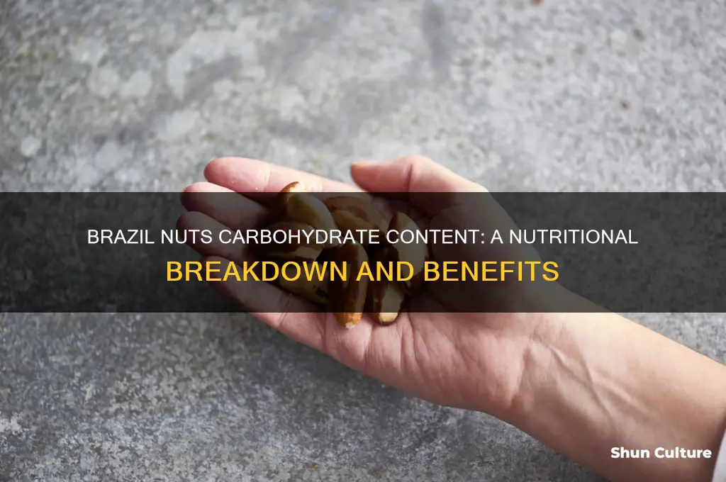 what is the carbohydrate content of brazil nuts