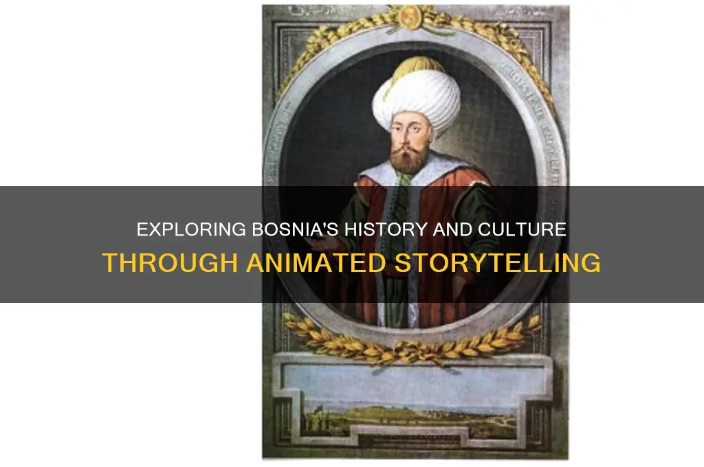 what is the cartoon about bosnia
