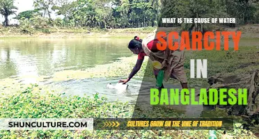 Understanding the Root Causes of Bangladesh's Water Scarcity Crisis