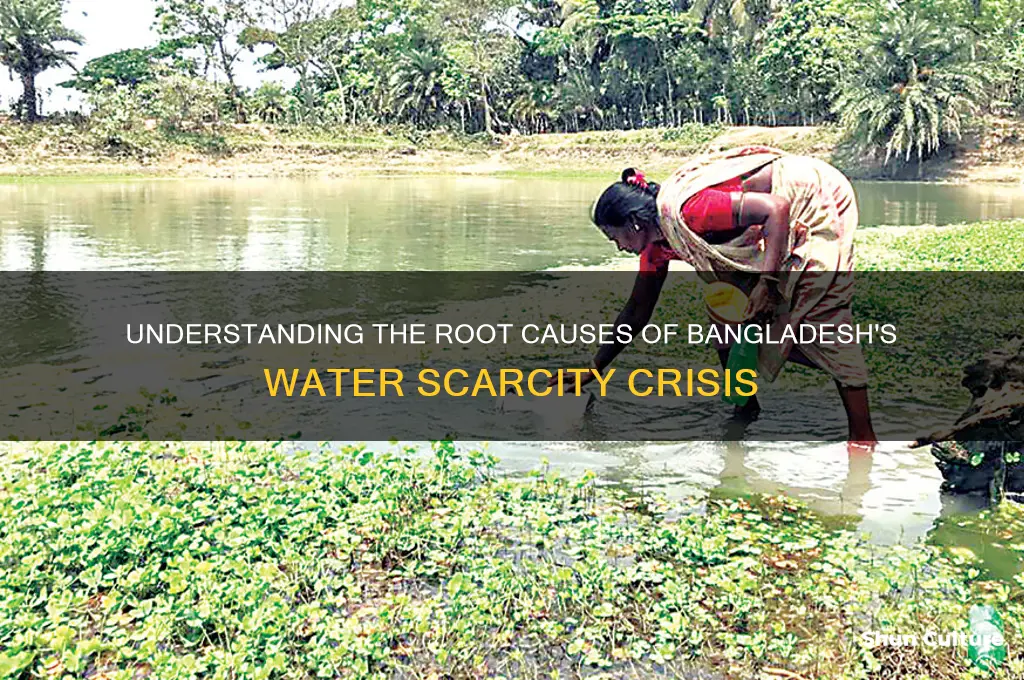 what is the cause of water scarcity in bangladesh