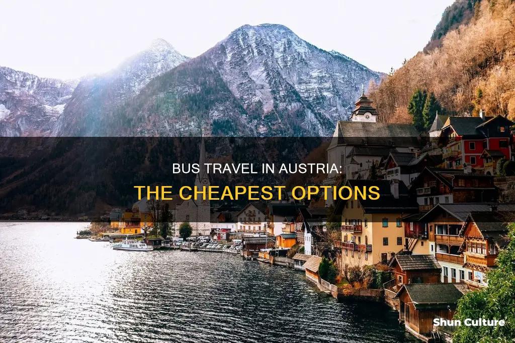 what is the cheapest bus in austria