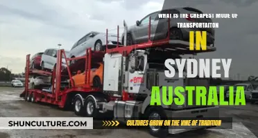 Sydney's Most Affordable Transportation Options: A Budget-Friendly Guide