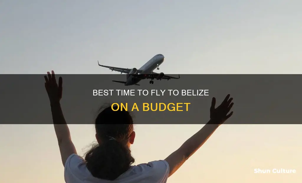 what is the cheapest time to fly to belize