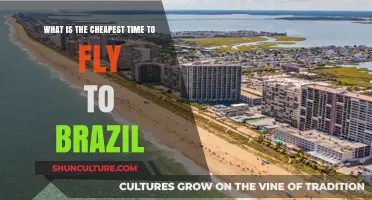 Discover the Best Budget-Friendly Season to Fly to Brazil