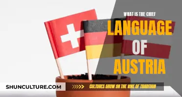 Unveiling Austria's Official Language: A Chief Communication Hub