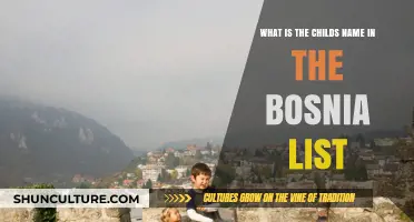 Unveiling the Mystery: The Child's Name in the Bosnia List