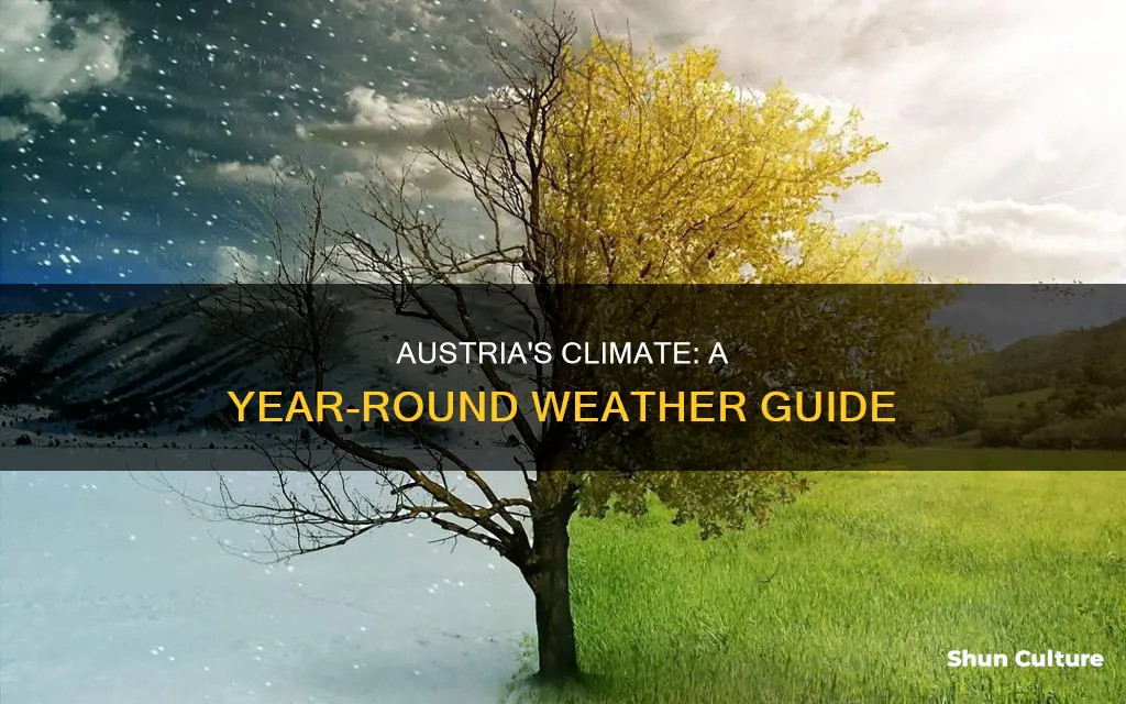 what is the climat in austria