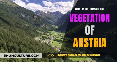 Exploring Austria's Climate and Lush Green Vegetation