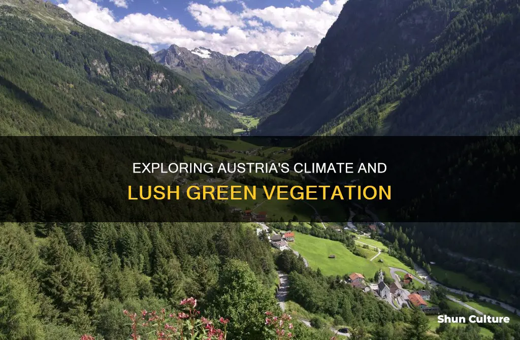 what is the climate and vegetation of austria