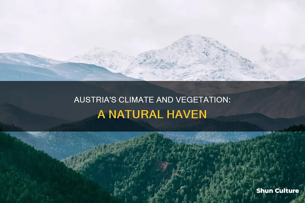 what is the climate and vegetation of austria