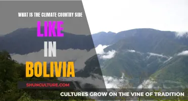 Exploring Bolivia's Climate and Country Scenery