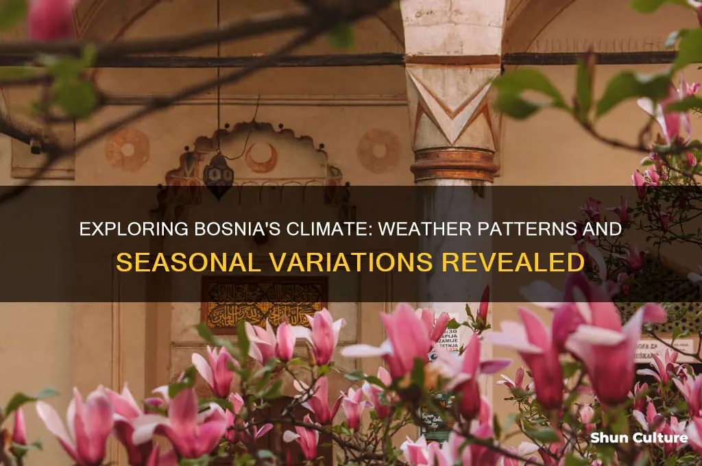 what is the climate in bosnia