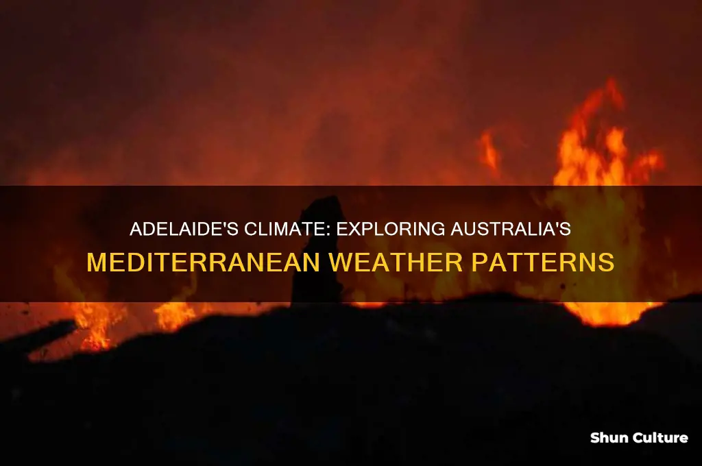 what is the climate like in adelaide australia