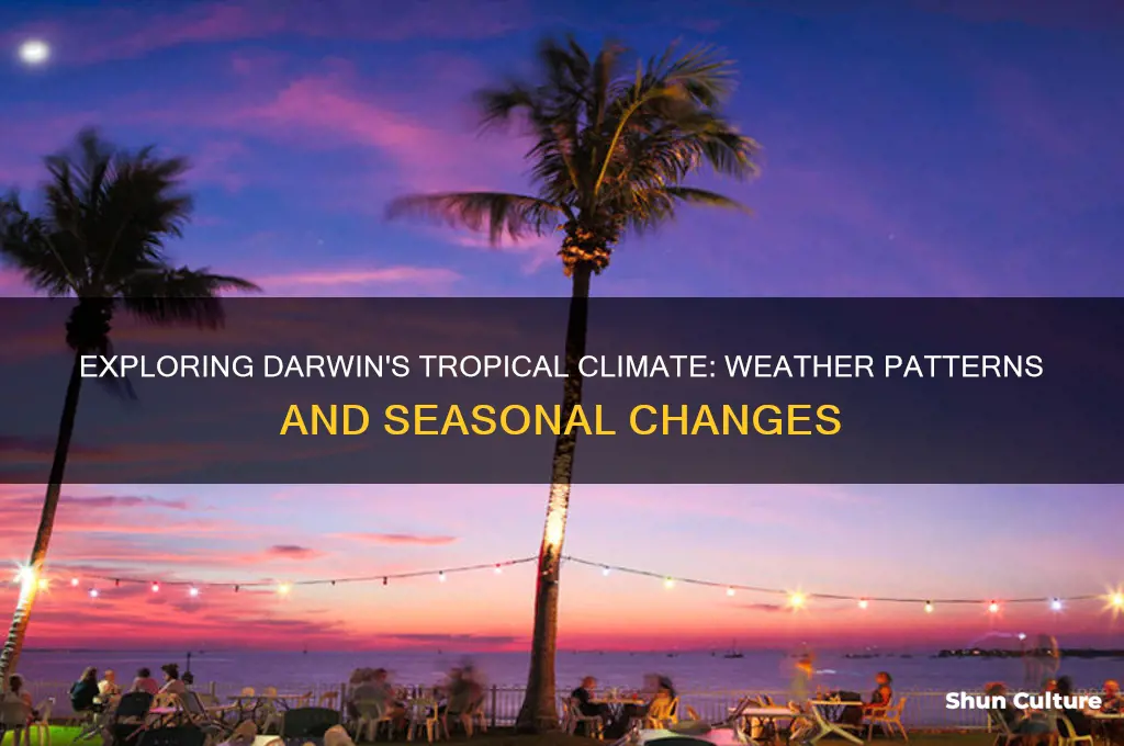 what is the climate like in darwin australia