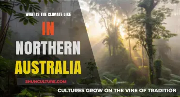Exploring Northern Australia's Tropical Climate: Weather Patterns and Seasons