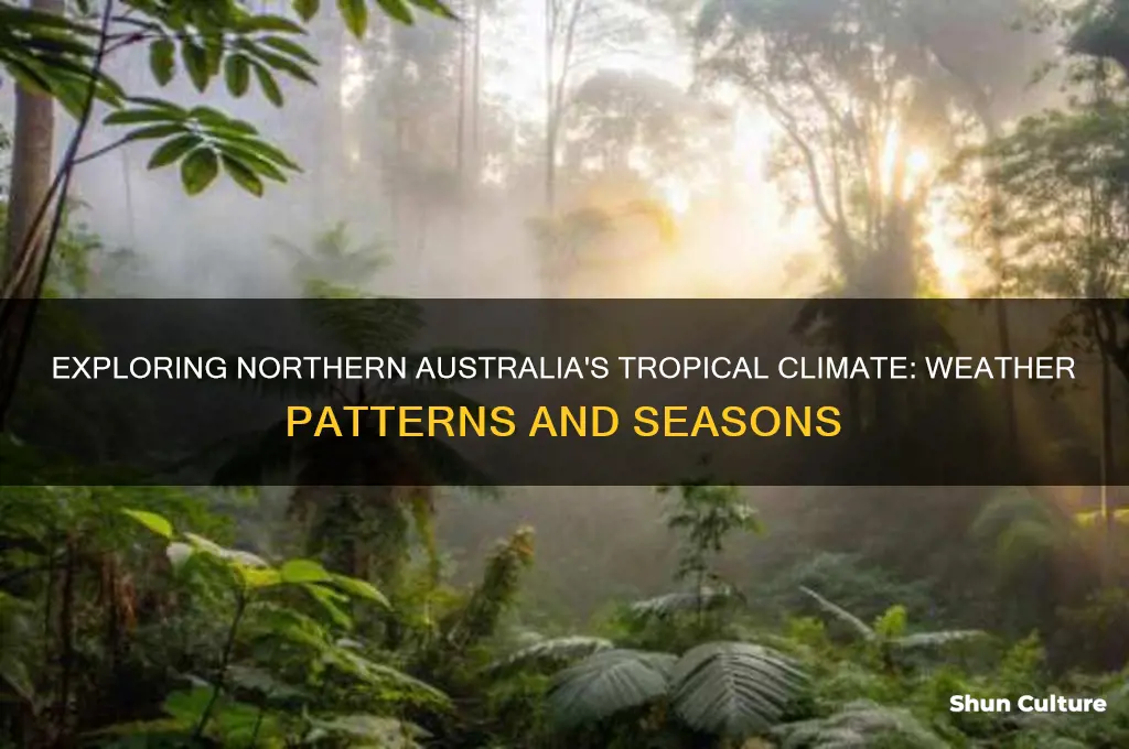 what is the climate like in northern australia