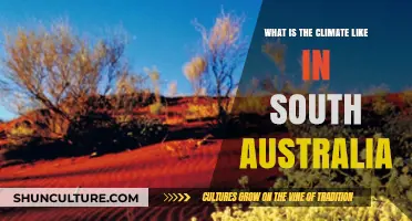 Exploring South Australia's Unique Climate: Weather Patterns and Seasonal Variations