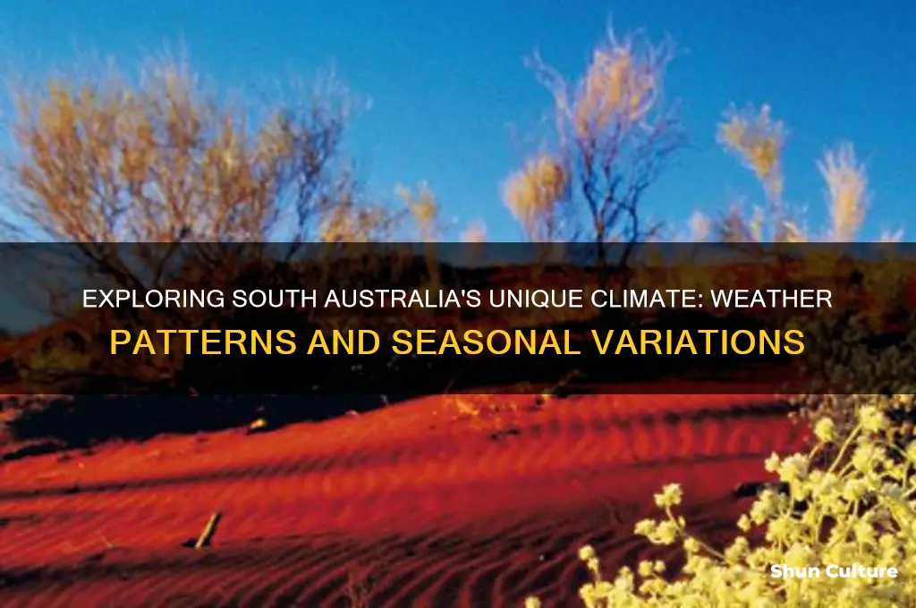 what is the climate like in south australia