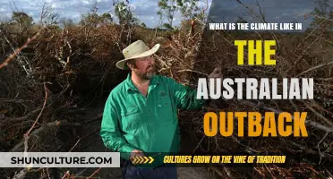 Exploring the Harsh, Arid Climate of Australia's Vast Outback