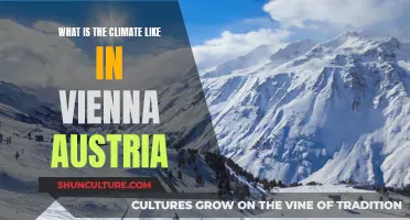 Exploring Vienna's Climate: A Guide to Austria's Weather