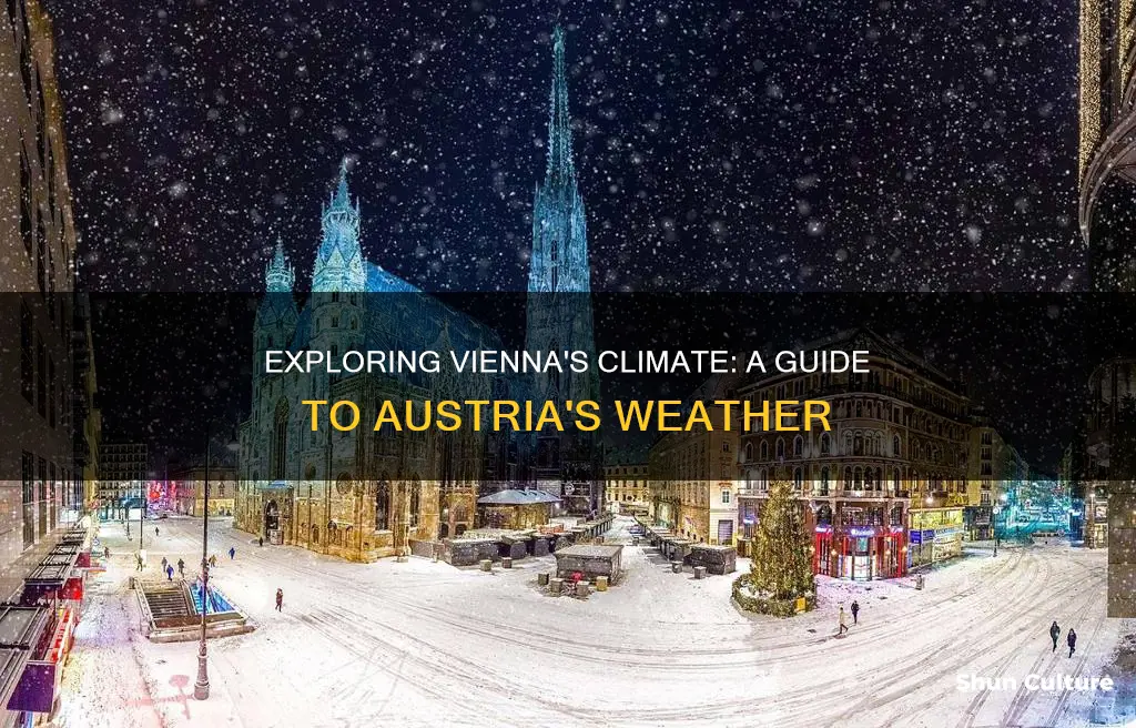 what is the climate like in vienna austria