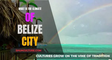 The Tropical Climate of Belize City: A Nature-Lover's Paradise