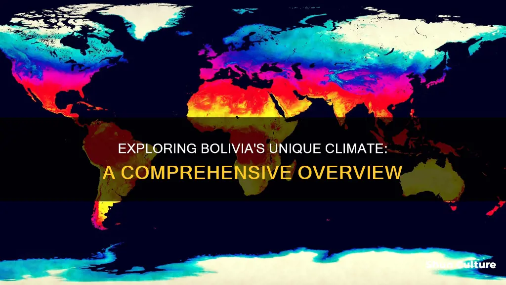 what is the climate of bolivia