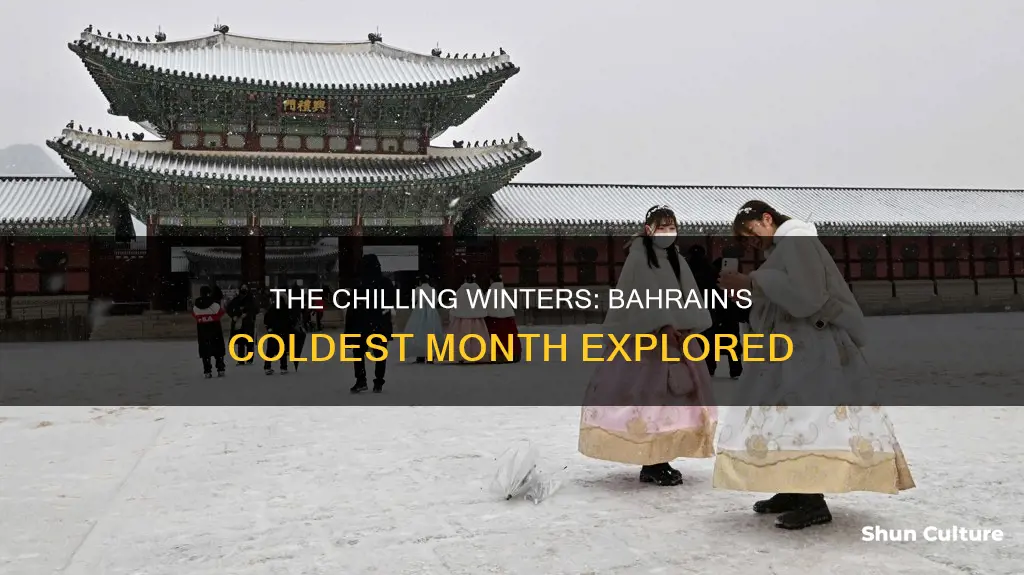 what is the coldest month in bahrain