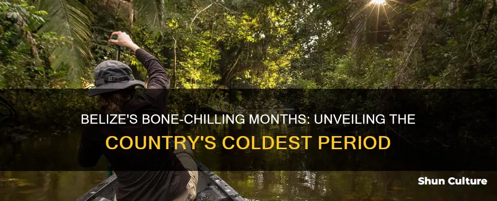 what is the coldest month in belize