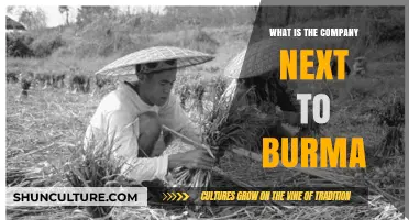 Exploring Myanmar's Neighbor: A Glimpse into Thailand's Culture and Economy